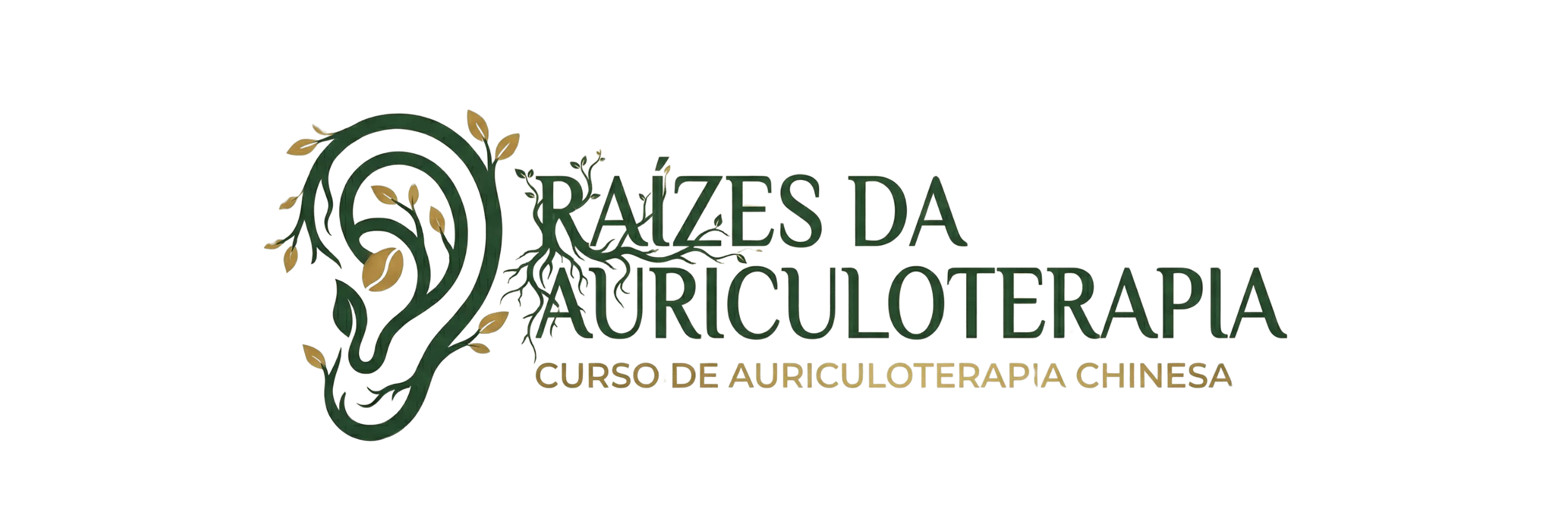 Raízes da Auriculoterapia